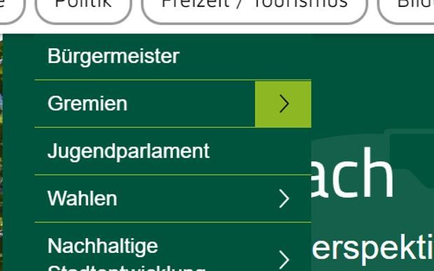 geöffneter Navigationspunkt "Politik"